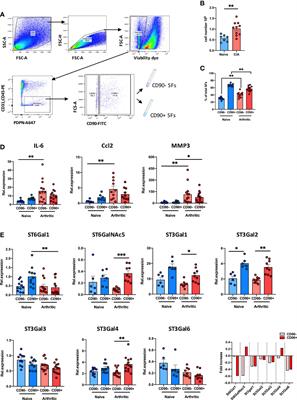 Synovial Fibroblast Sialylation Regulates Cell Migration and Activation of Inflammatory Pathways in Arthritogenesis